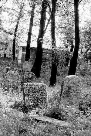 Frampol – cmentarz żydowski, rok 1985. Fot. Andrzej Trzciński